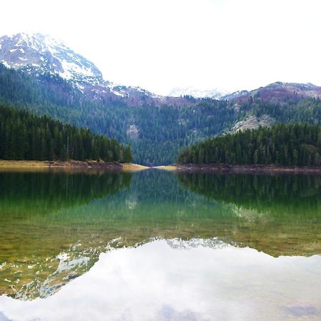 Guesthouse Zabljak Экстерьер фото